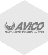 Avico 