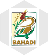 Bahadi 