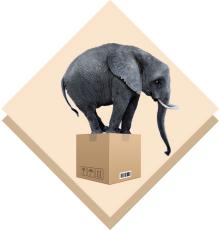 Strong carton